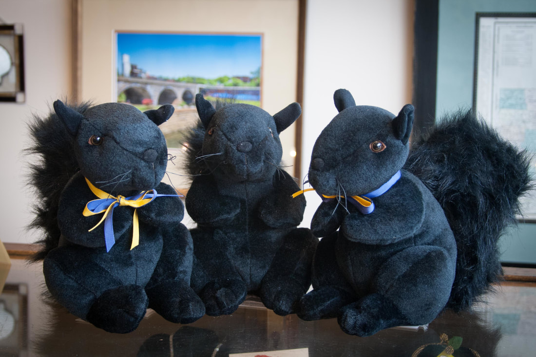 stuffed black squirrel